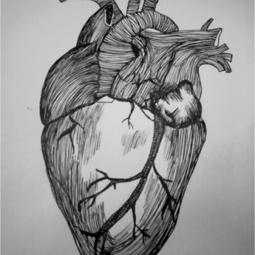 'Heart' a drawing by Esther Francis, 2013