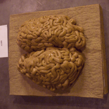 'BrainS & 000138' a ceramic sculpture by Esther Francis, part of the 'Grim Reaper' installation for Tumult in Gent, 2014